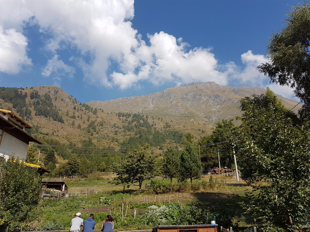 Agriturismo Edelweiss
