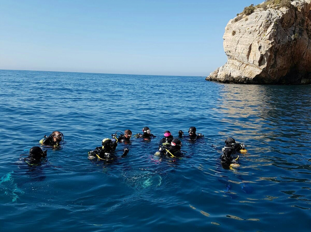 Escuela de Buceo Bubbles Sea-Torrenueva必去景点