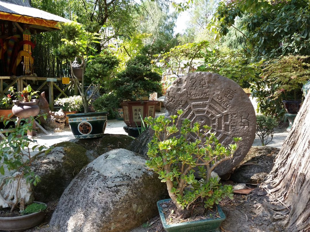 Saint Jacut les Pins旅游攻略图片