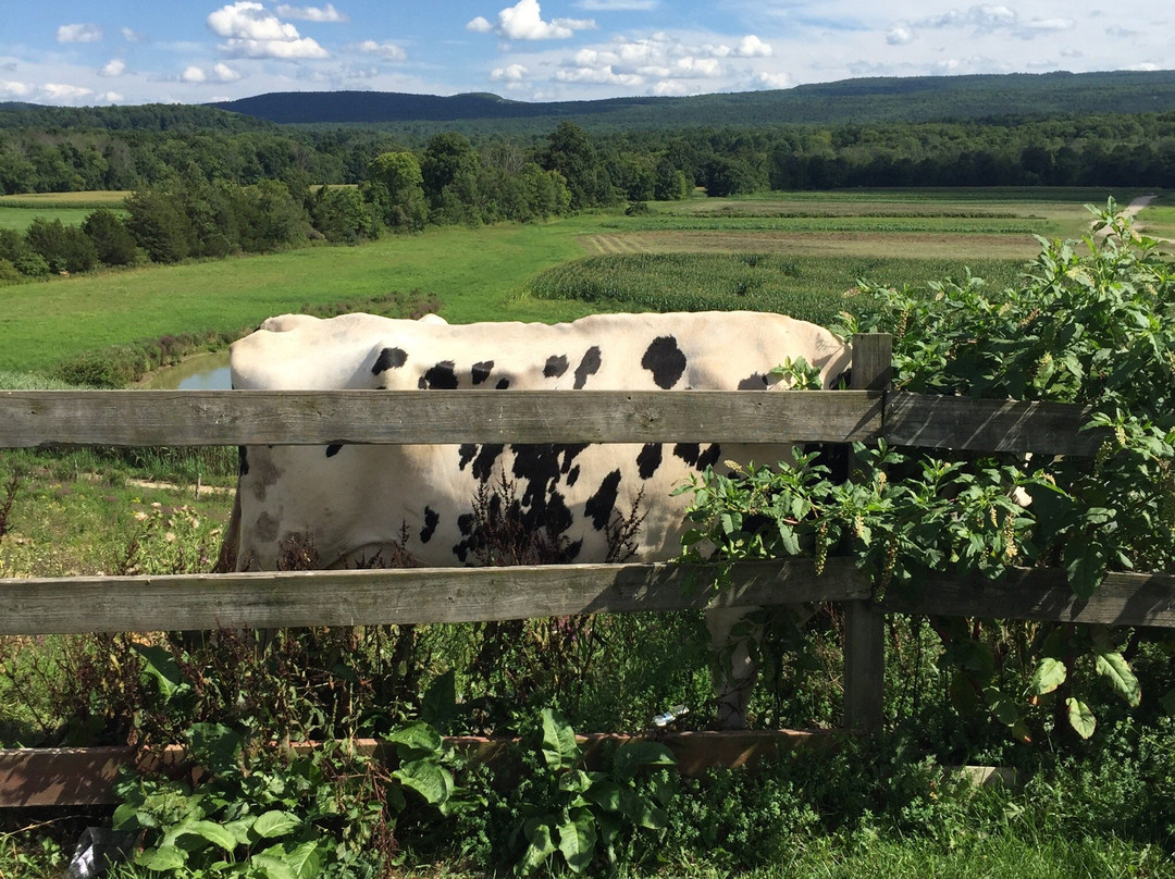 Kelder's Farm-Kerhonkson必去景点