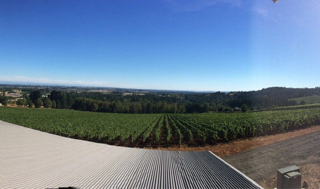 Domaine Roy & fils-Dundee必去景点