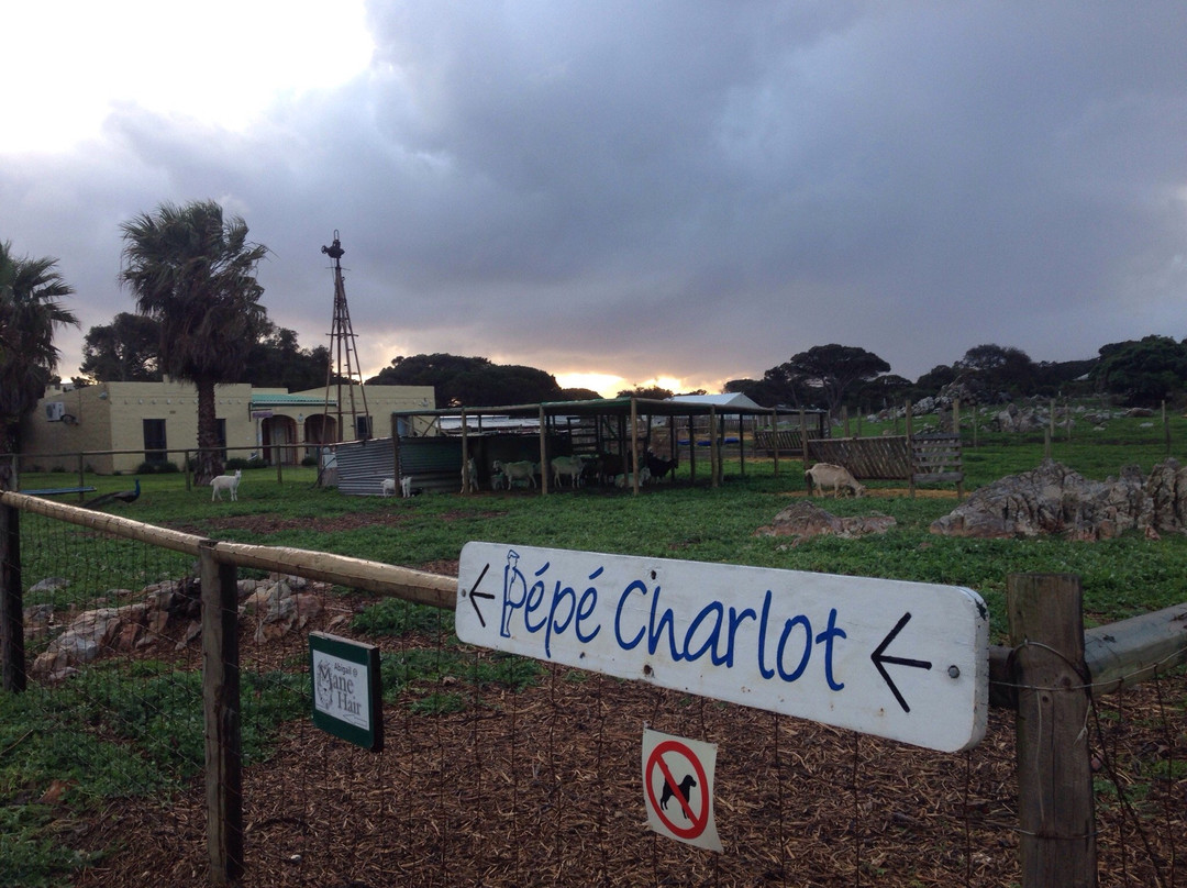 Pepe Charlot-Kommetjie必去景点