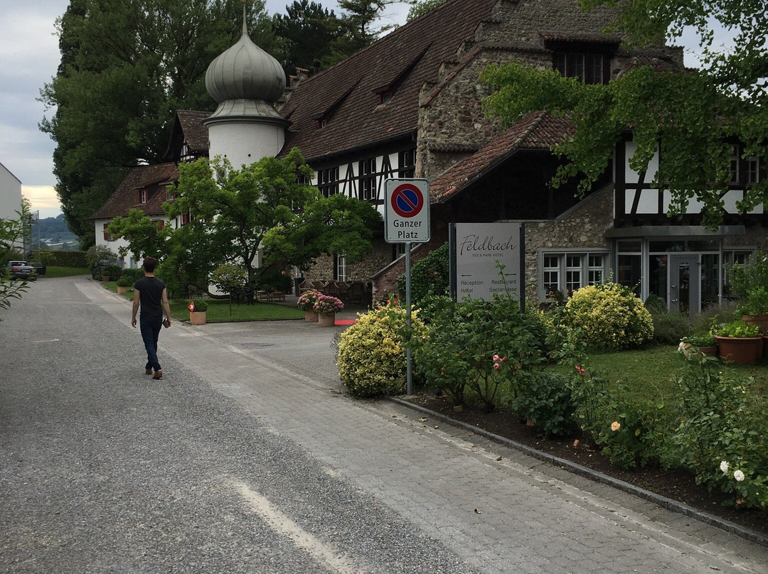 Horhausen酒店住宿-See & Park Hotel Feldbach