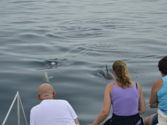 LS Catamarans-蓬塔德尔加达必去景点