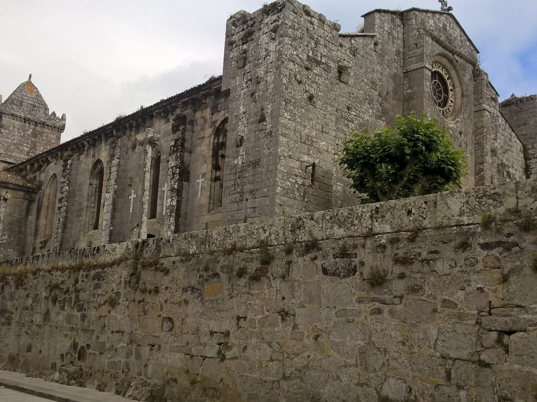 Ex-colegiata Santa Maria景点图片
