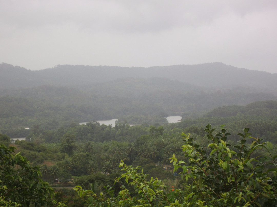 Linganamakki Dam景点图片