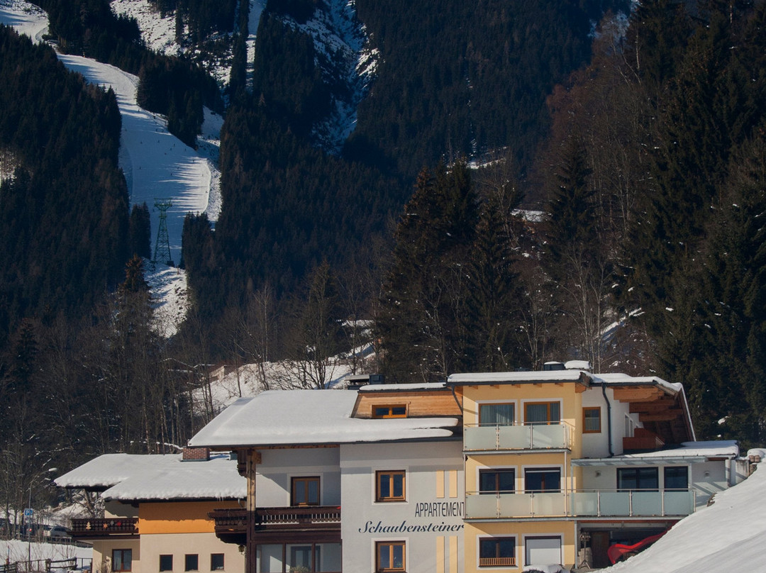 Appartement Schaubensteiner主图