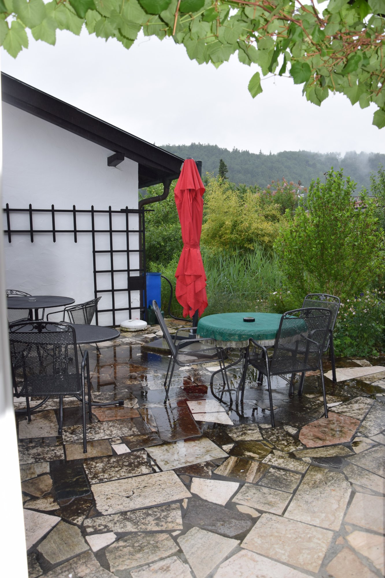 Gastehaus Edelweiss-酒店景观