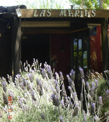 Las Toninas餐馆和美食-Las Marias