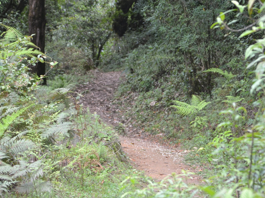 Tiffin Dara View Point景点图片