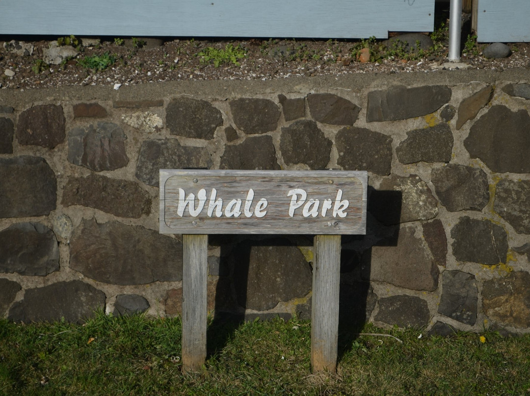 Bazalgette the Whale at Whale Park-亚查茨必去景点