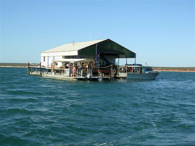 Blue Lagoon Pearl Shop-德纳姆必去景点