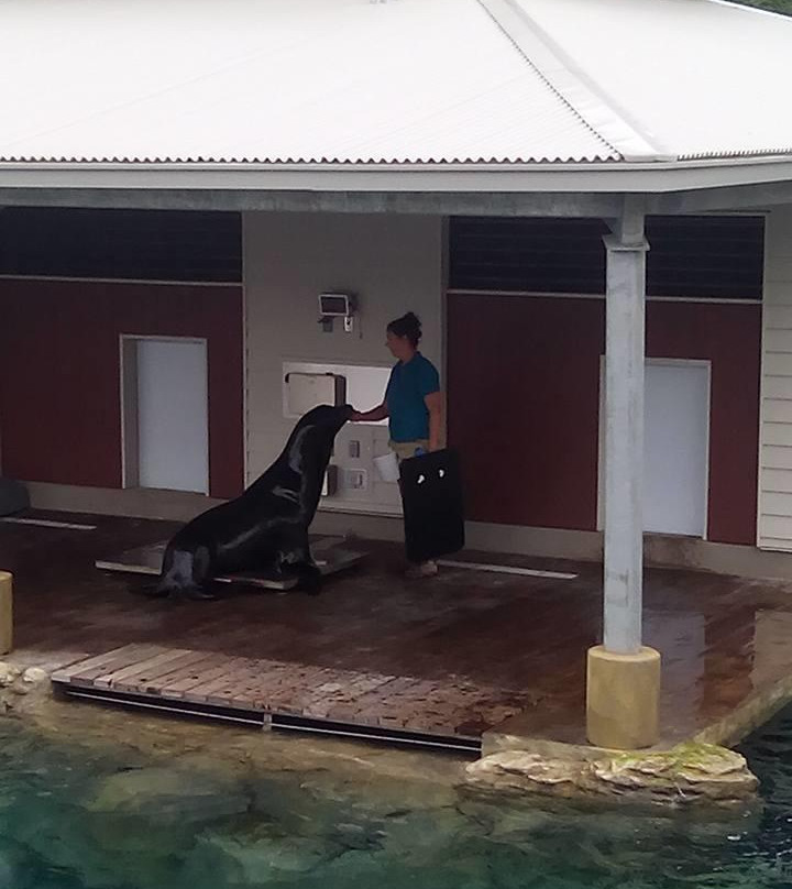 Sea Lion Landing-哥伦比亚必去景点