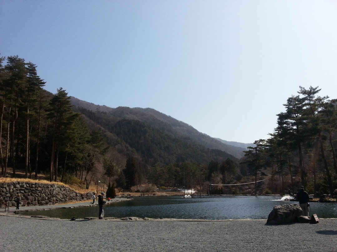 Berry Park Fish On Shishidome景点图片