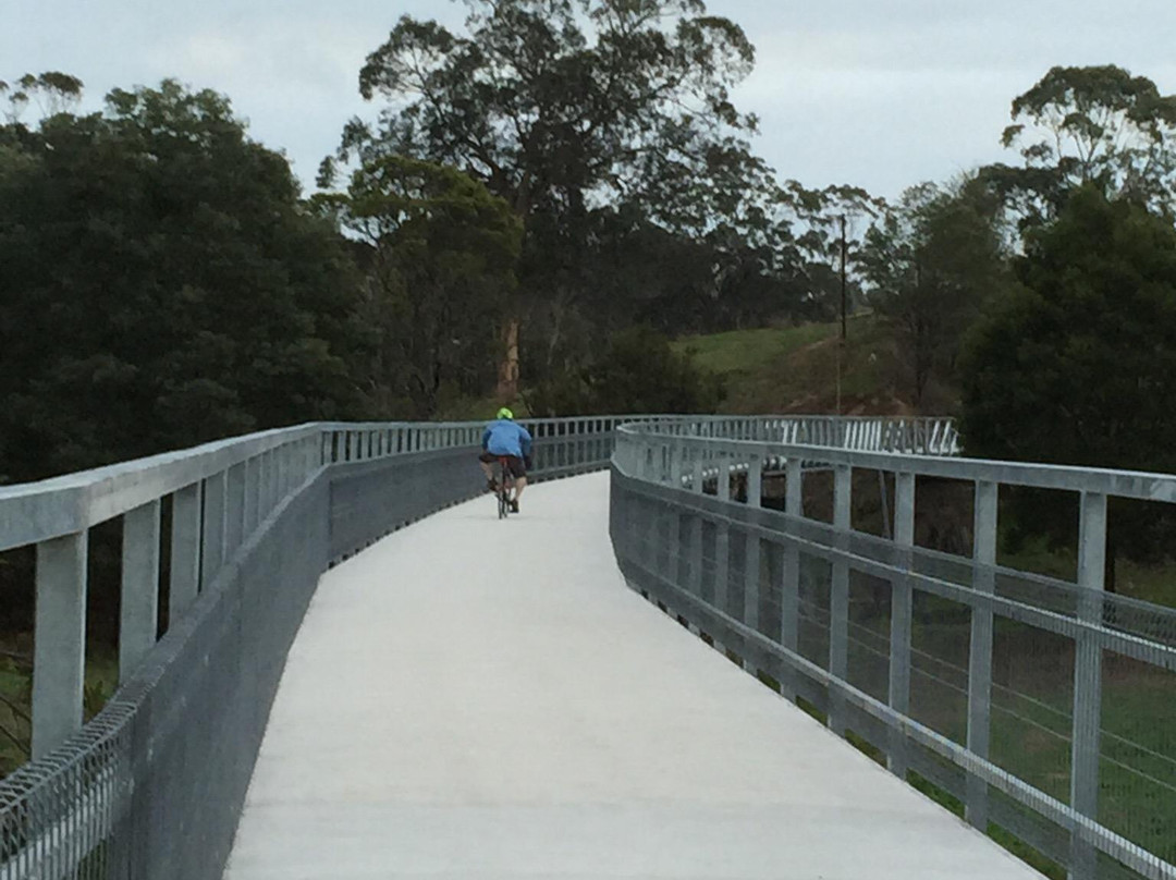 Great Victorian Rail Trail-维多利亚必去景点