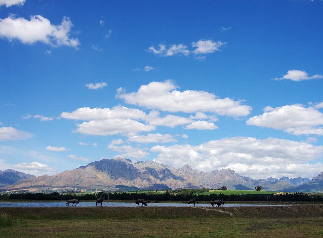 Vredenheim-斯泰伦博斯必去景点