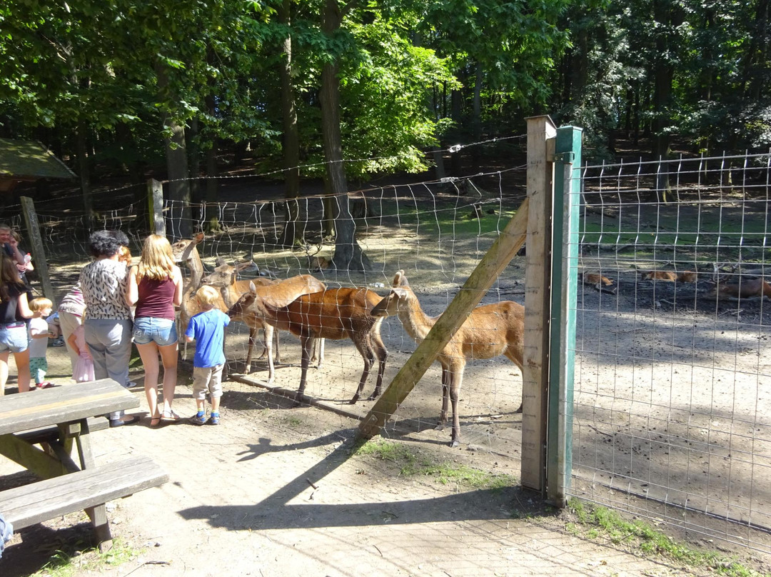 Streichelzoo und Wildgehege Hohenstein-维滕必去景点