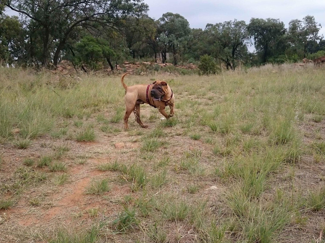 Hedianga Farm-比勒陀利亚必去景点