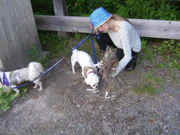 Mapleton Park-蒙古顿必去景点