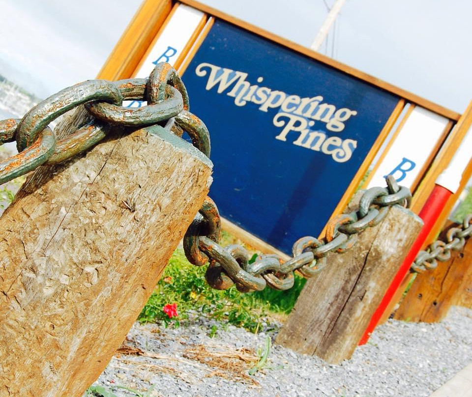 Whispering Pines Guest House主图