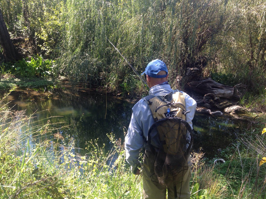 Barbus Haven Fly Fishing-Magaliesburg必去景点