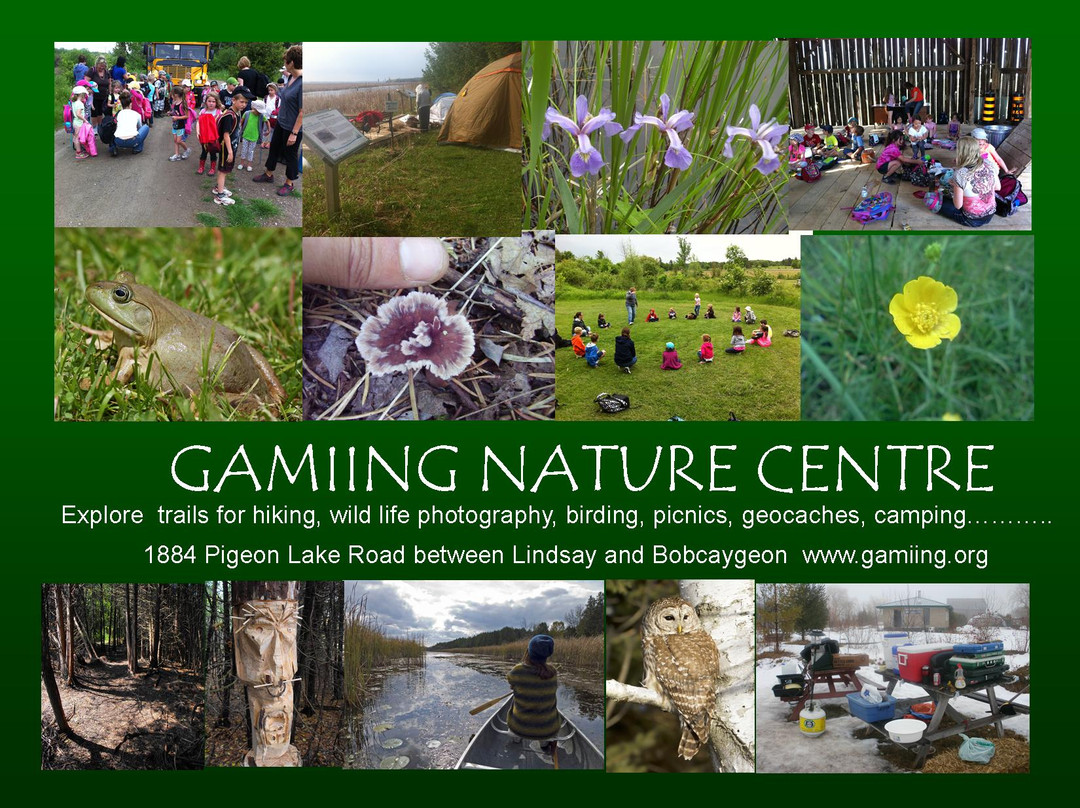 Gamiing Nature Centre景点图片