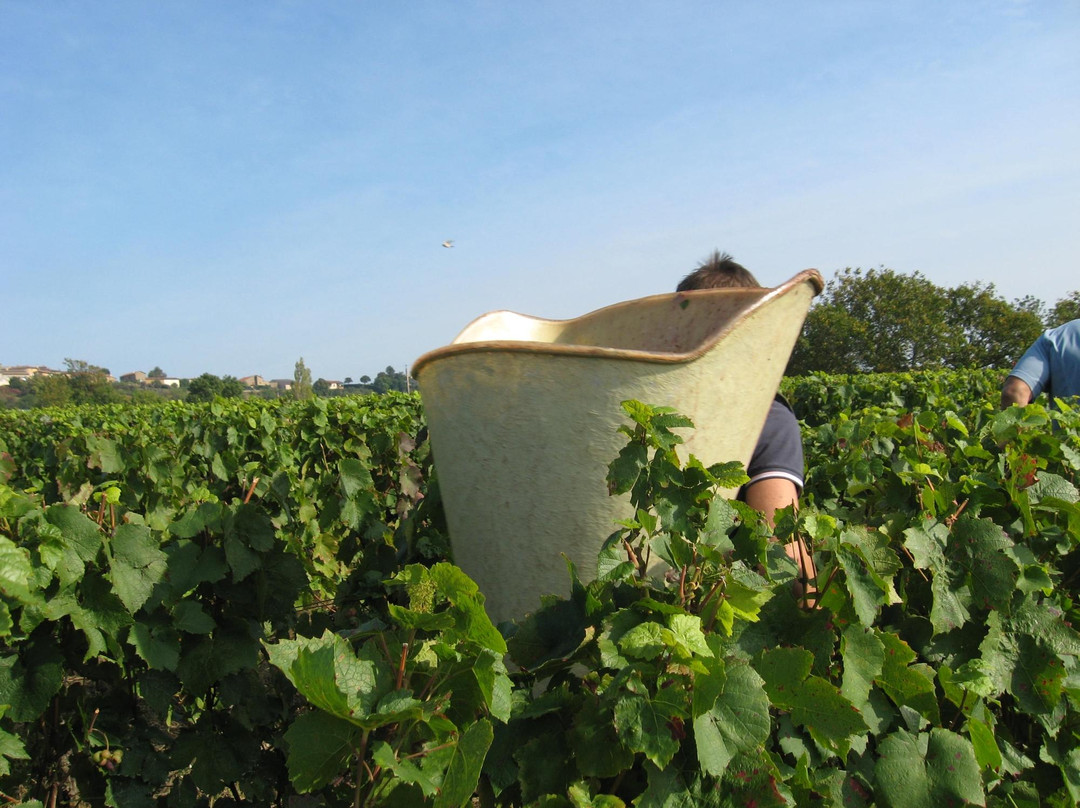 Domaine Guillard Roger et Nicole主图