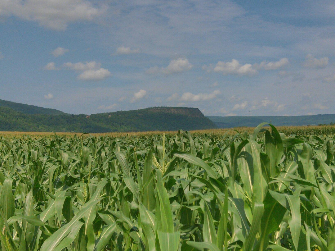 Vroman's Nose-Middleburgh必去景点