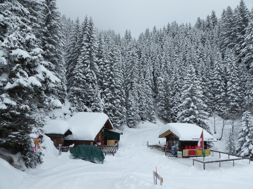 Wanderung Bussalp - Bort-格林德瓦必去景点