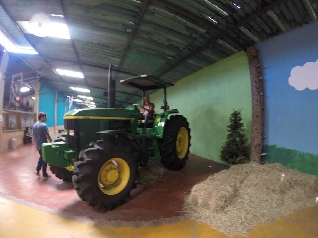 Parque Agro Turístico y de Aventura EcoWild-梅里达市必去景点