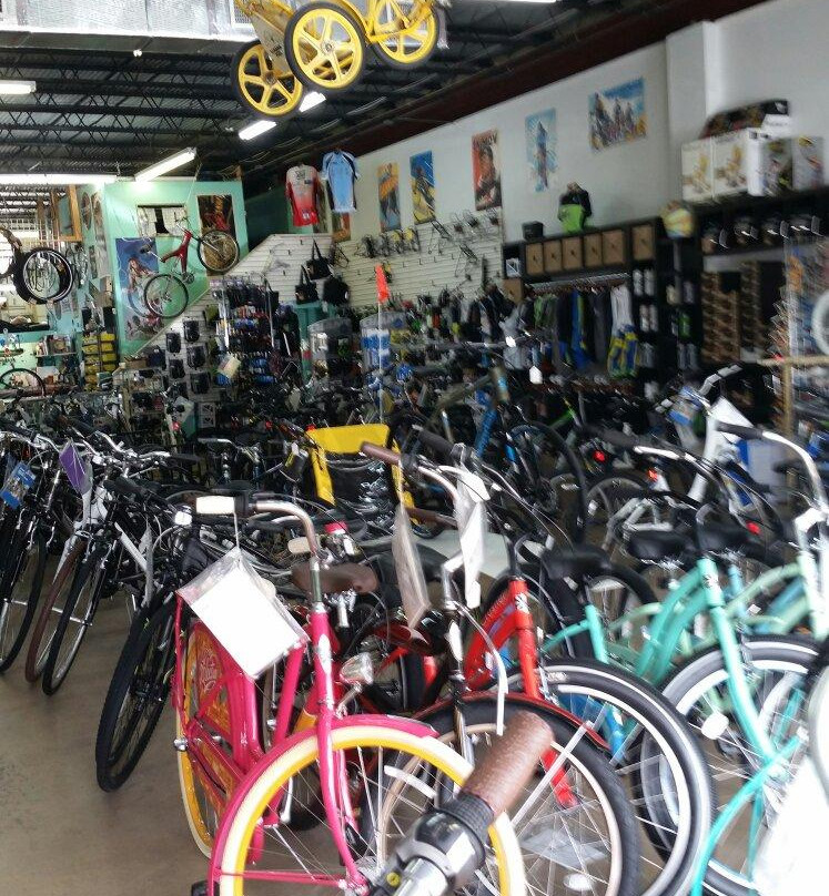 The Bike Shop-斯图尔特必去景点