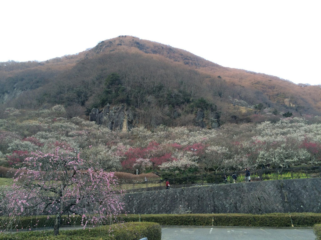 汤河原町旅游景点-Yugawara Bairin