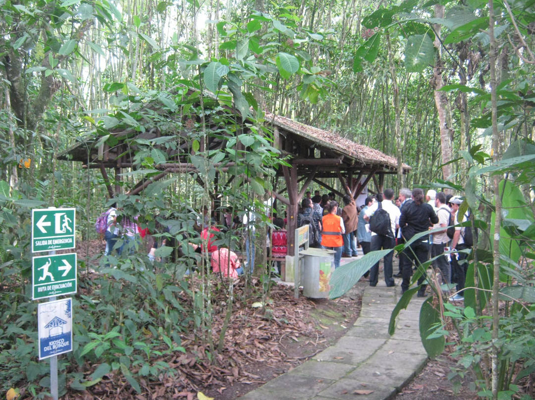 Universidad Tecnologica de Pereira-佩雷拉必去景点