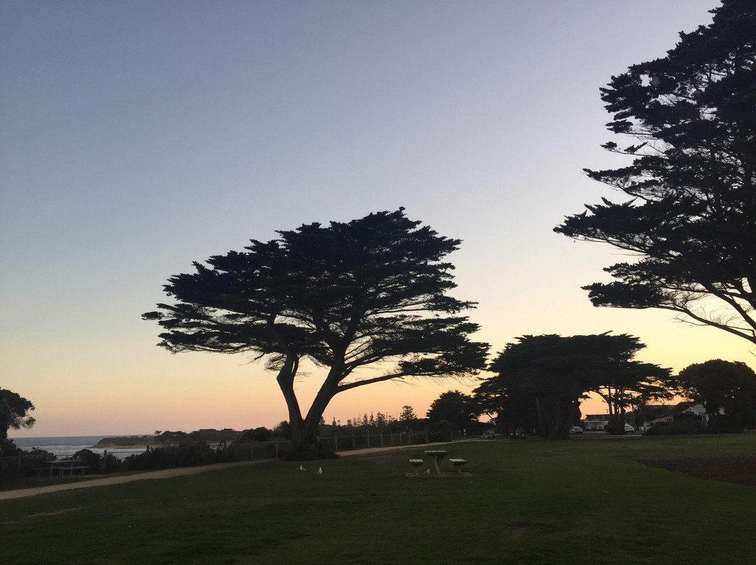 Torquay Foreshore Play Park-托基必去景点