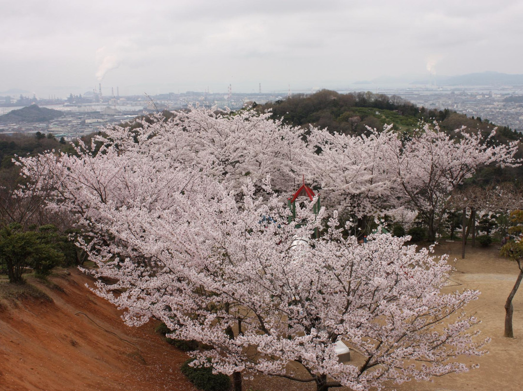 Tanematsuyama Park-仓敷市必去景点