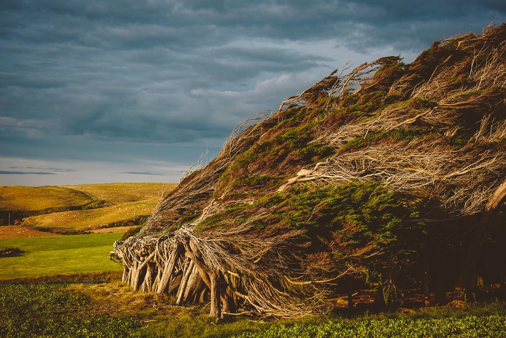 Slope Point Accommodation