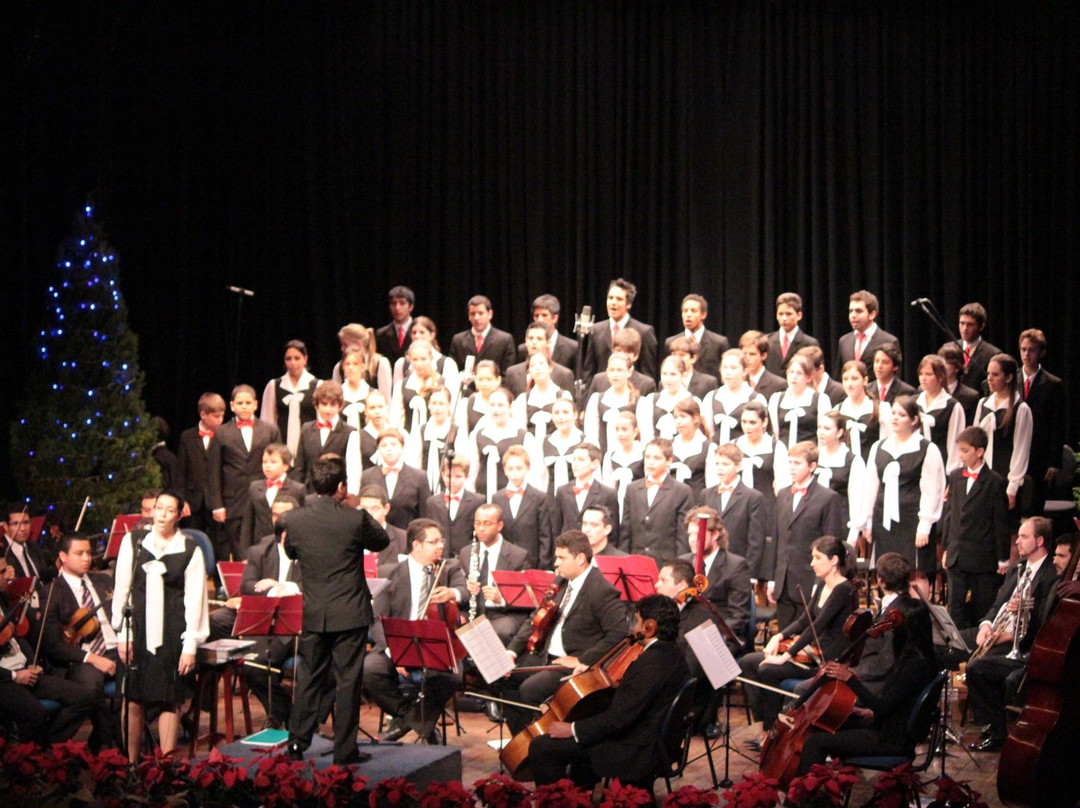 Pardinho旅游景点-Camillo Fernandez Dinucci Municipal Theater