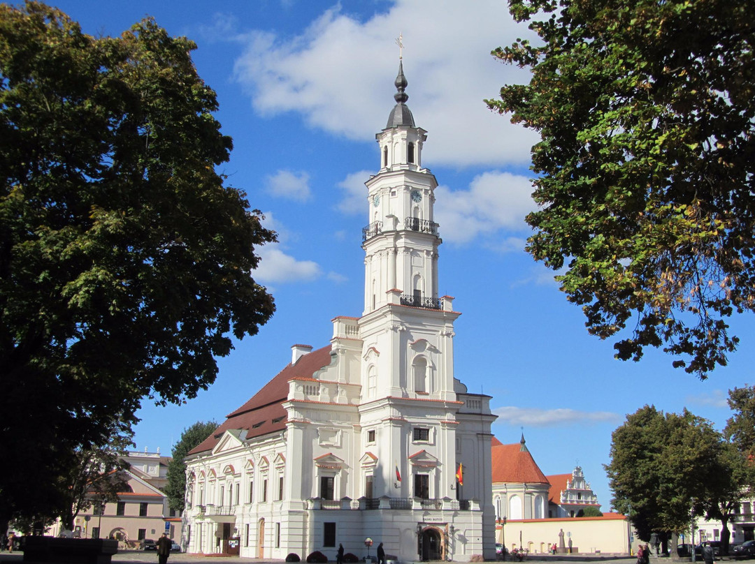 Kaunas City Museum景点图片