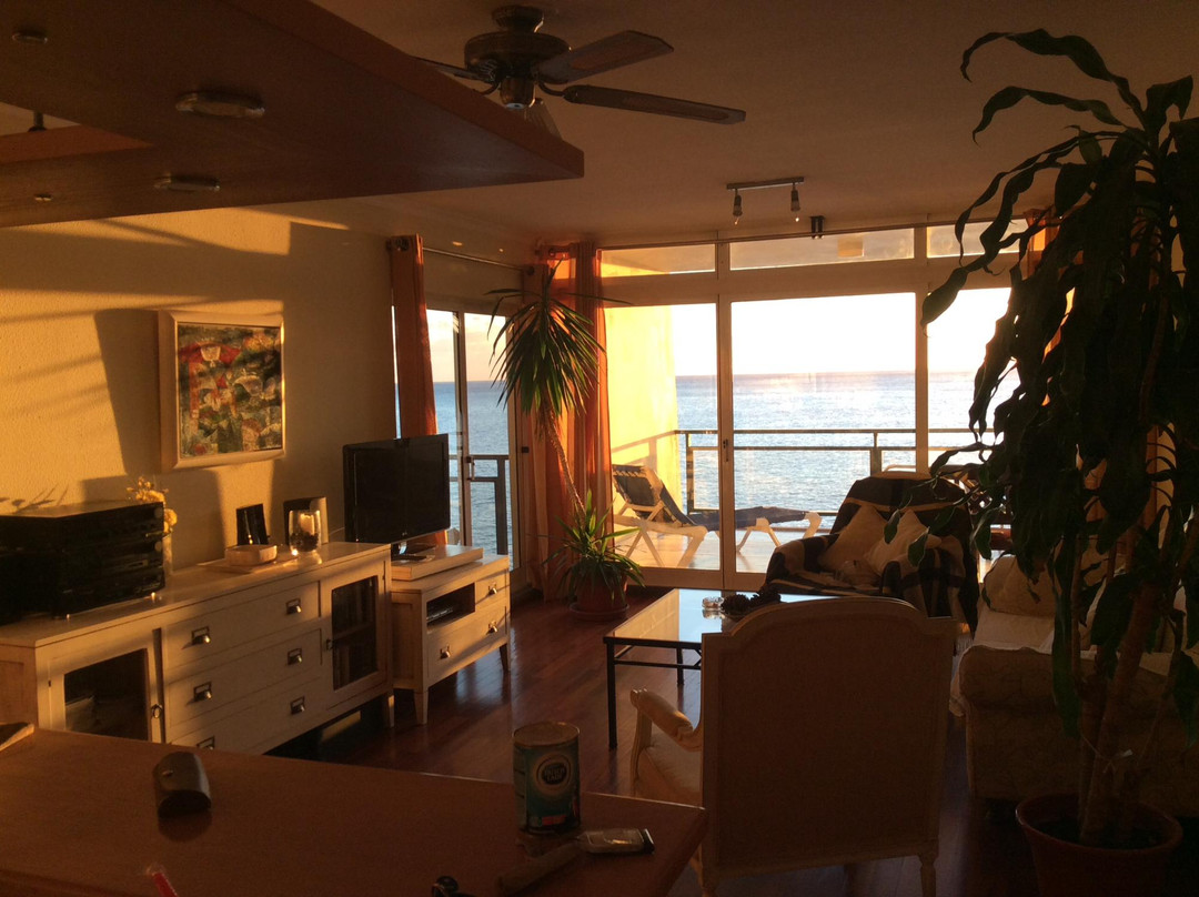 Atlantic Gardens主图