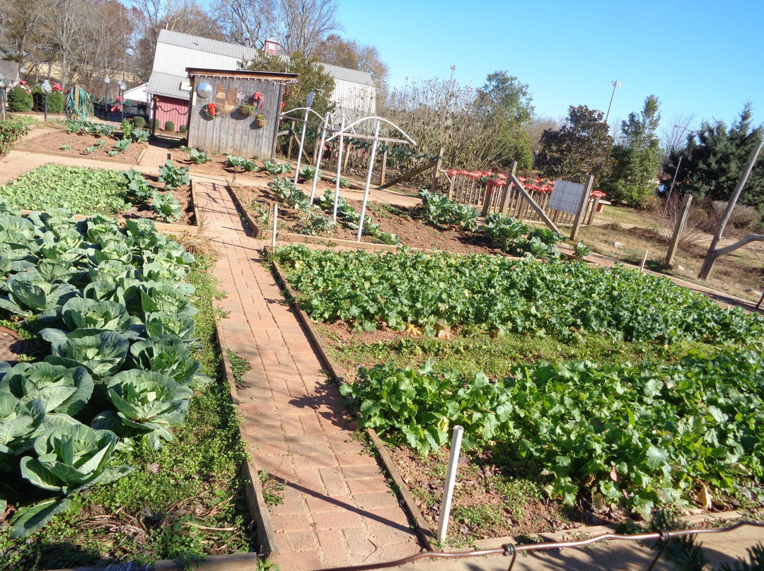 Heritage Park-McDonough必去景点
