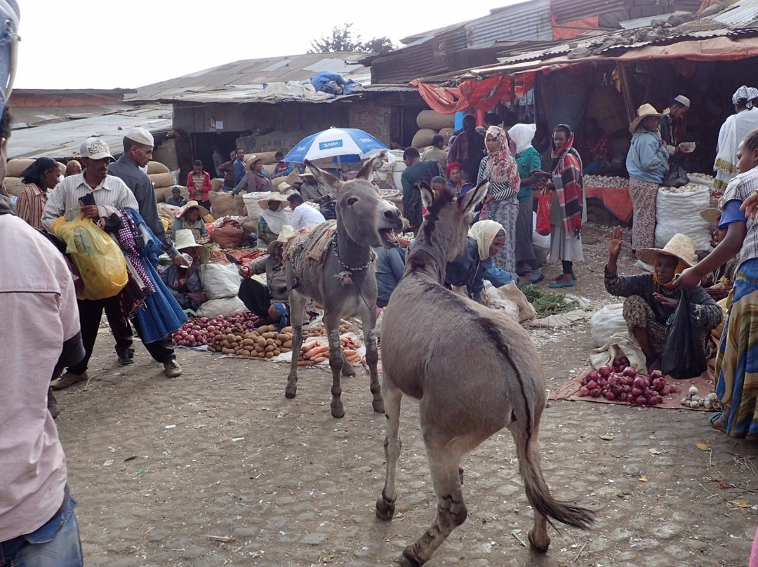 Afro Ethiopia Tour景点图片