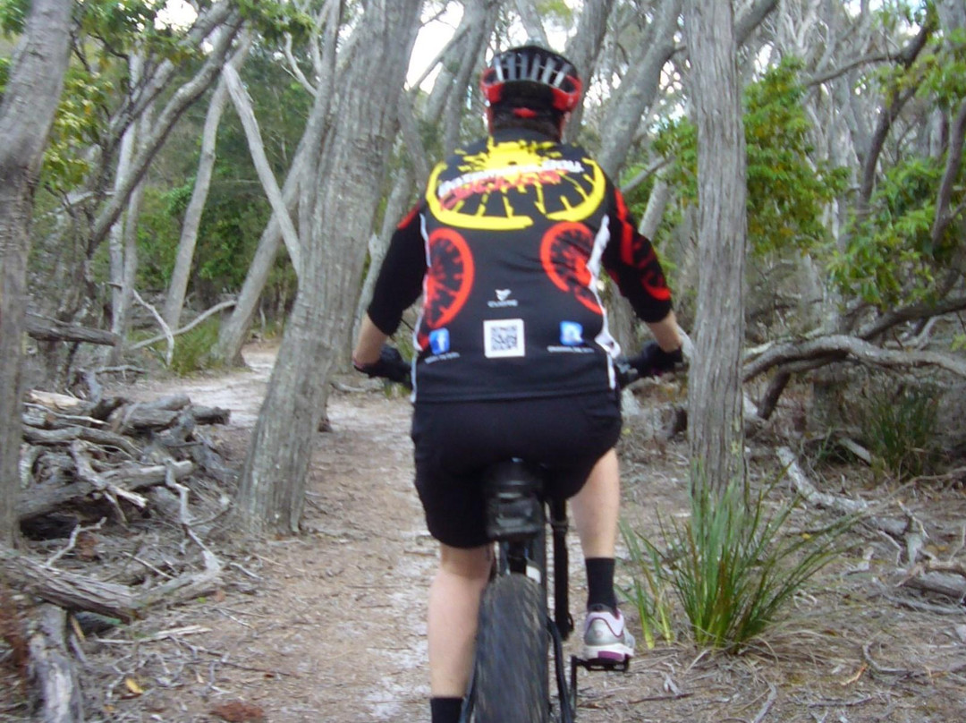 Batemans Bay Cycles景点图片