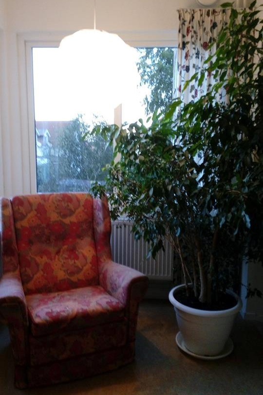 STF Helsingborg/Miatorp Hotell