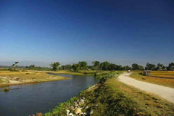 Chilapata Wildlife Sanctuary景点图片