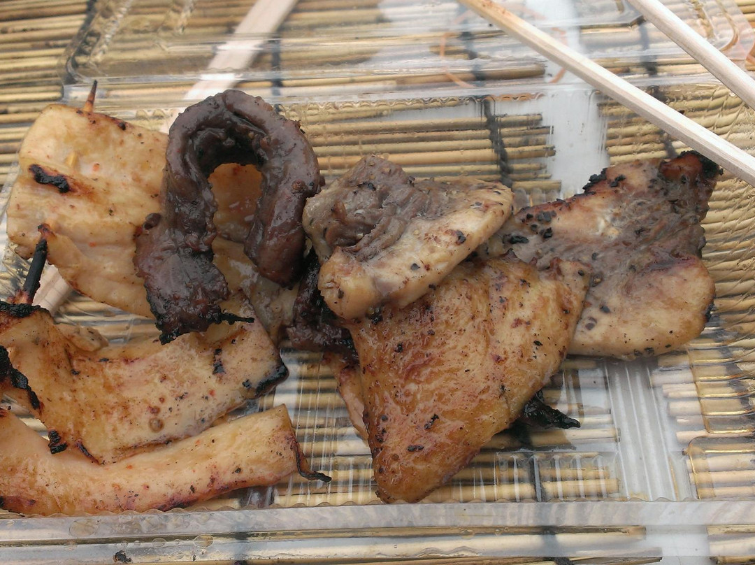 Misaki Asaichi-三浦市必去景点