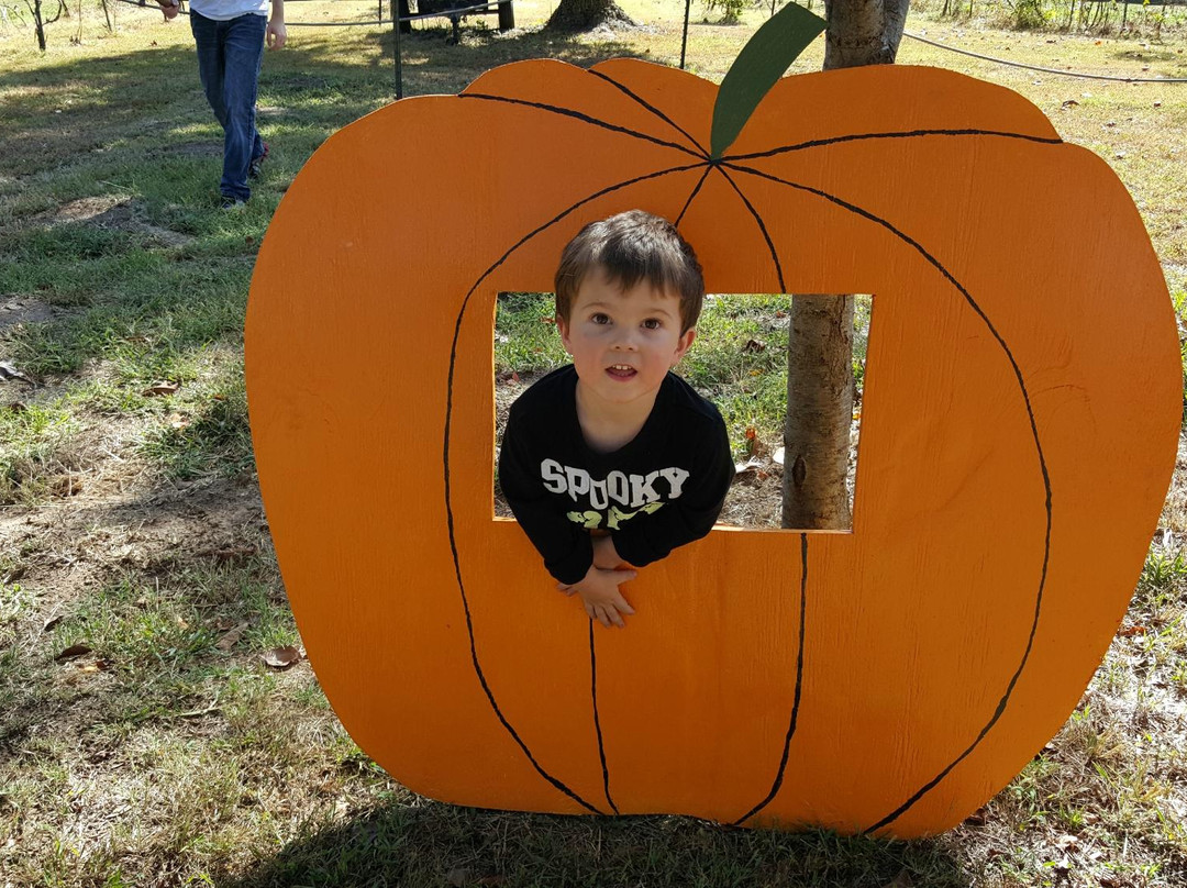 DeLaney Vineyard & Winery-Nevada必去景点