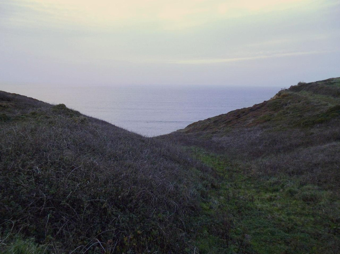 Bassetts Cove-Portreath必去景点