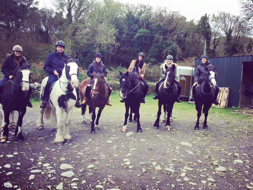 Eagle Rock Equestrian Centre景点图片