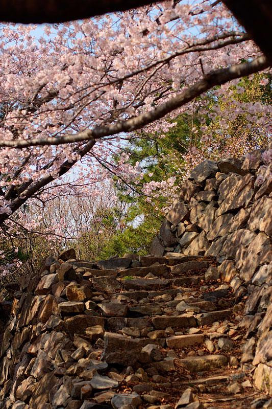 Seosaengpo Japanese Fortress-蔚山必去景点