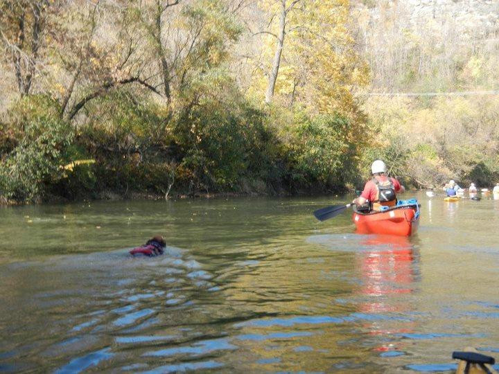 Pilgrim Paddles LLC-罗切斯特必去景点